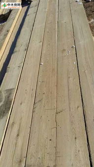 探索木材世界 從產品、價格到行業資訊的一站式指南